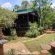 Woodland Gardens - 284987