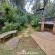 Woodland Gardens - 284988