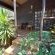 Woodland Gardens - 284991