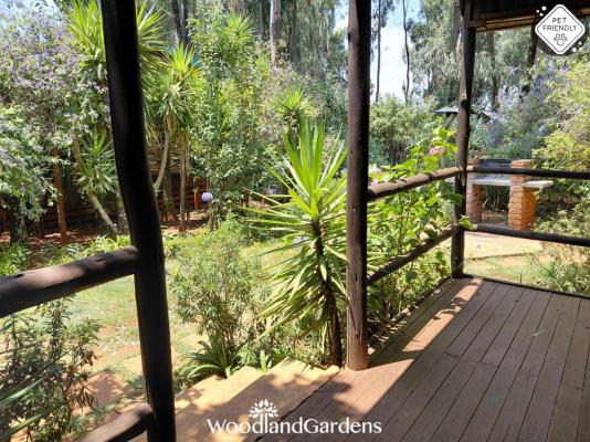 Woodland Gardens - 284992