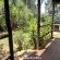 Woodland Gardens - 284992