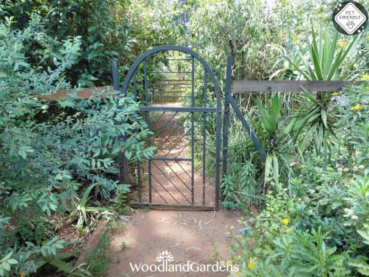 Woodland Gardens - 284993