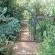 Woodland Gardens - 284993