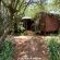 Woodland Gardens - 284994