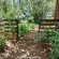 Woodland Gardens - 285004