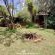Woodland Gardens - 285009