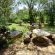 Woodland Gardens - 285011