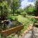 Woodland Gardens - 285012