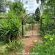 Woodland Gardens - 285024