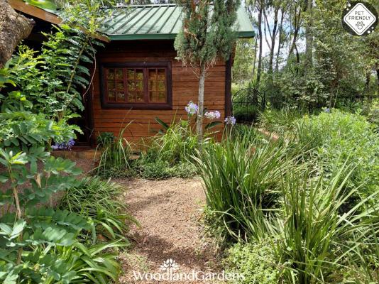 Woodland Gardens - 285025