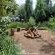 Woodland Gardens - 285026