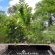 Woodland Gardens - 285027