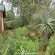 Woodland Gardens - 285029