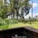 Woodland Gardens - 285059