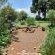 Woodland Gardens - 285060