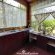 Woodland Gardens - 285069