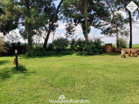 Woodland Gardens - 285072