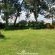 Woodland Gardens - 285072