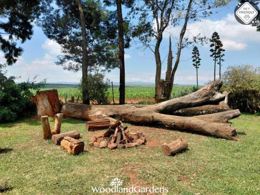Woodland Gardens - 285075