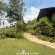 Woodland Gardens - 285076