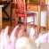 Hildesheim Guest House - 285104