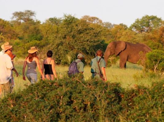 Rhino Post Safari Lodge - 285154