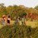 Rhino Post Safari Lodge - 285154