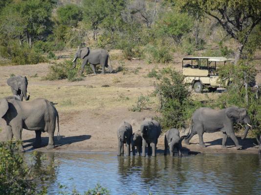 Rhino Post Safari Lodge - 285155