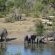 Rhino Post Safari Lodge - 285155