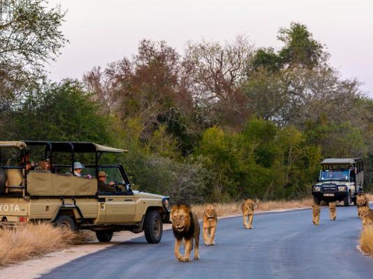 Rhino Post Safari Lodge - 285168