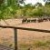 Rhino Post Safari Lodge - 285177