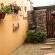 Treetops Guest House - 285185