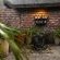 Treetops Guest House - 285188