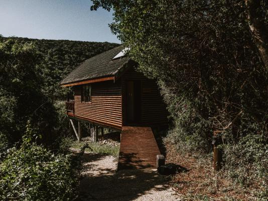 Room image 6