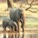 Hwange Safari Lodge