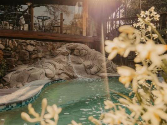 Panzi Lodge - Pool view
