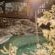 Panzi Lodge - Pool view