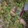 Panzi Lodge - Bird's eye view
