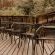 Panzi Lodge - Patio