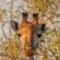 Panzi Lodge - Natural landscape