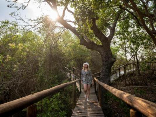 Panzi Lodge - Garden
