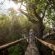 Panzi Lodge - Garden