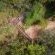 Panzi Lodge - Bird's eye view