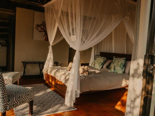 Panzi Lodge - 285745