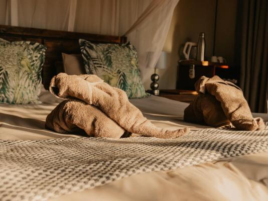 Panzi Lodge - 285746