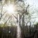 Panzi Lodge - 285749