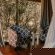Panzi Lodge - 285754