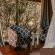 Panzi Lodge - 285759