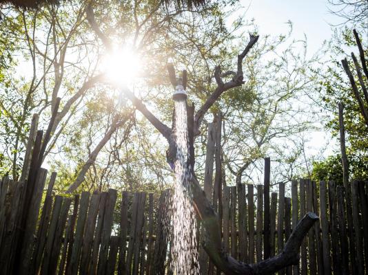 Panzi Lodge - 285762