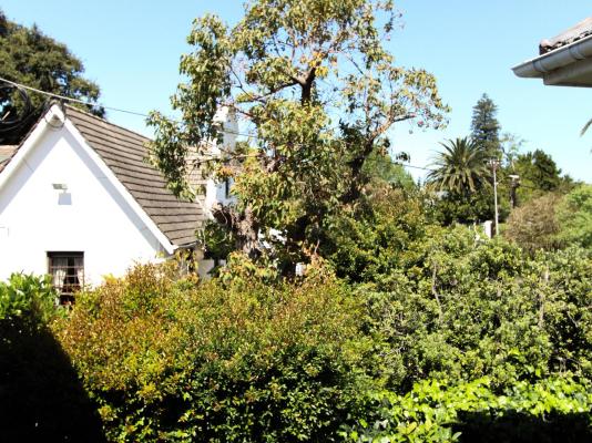 Oak Manor Boutique Guest House - 285797